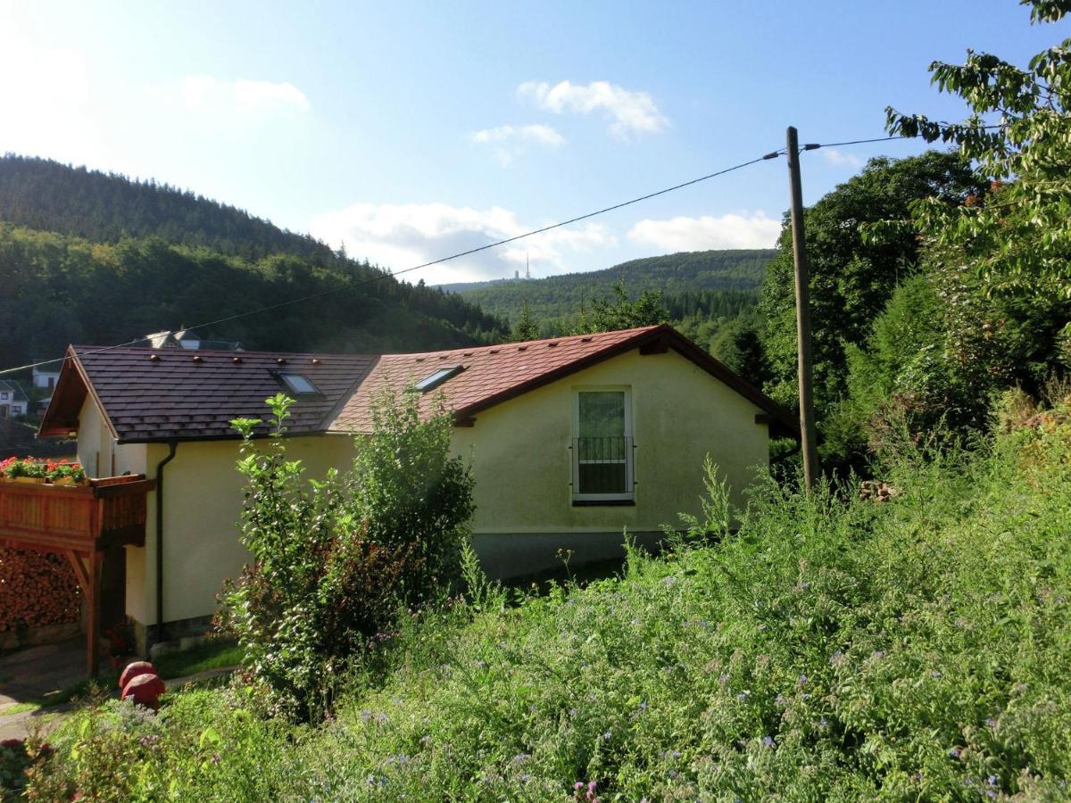 Cottage Near A Ski Resort Winterstein 外观 照片